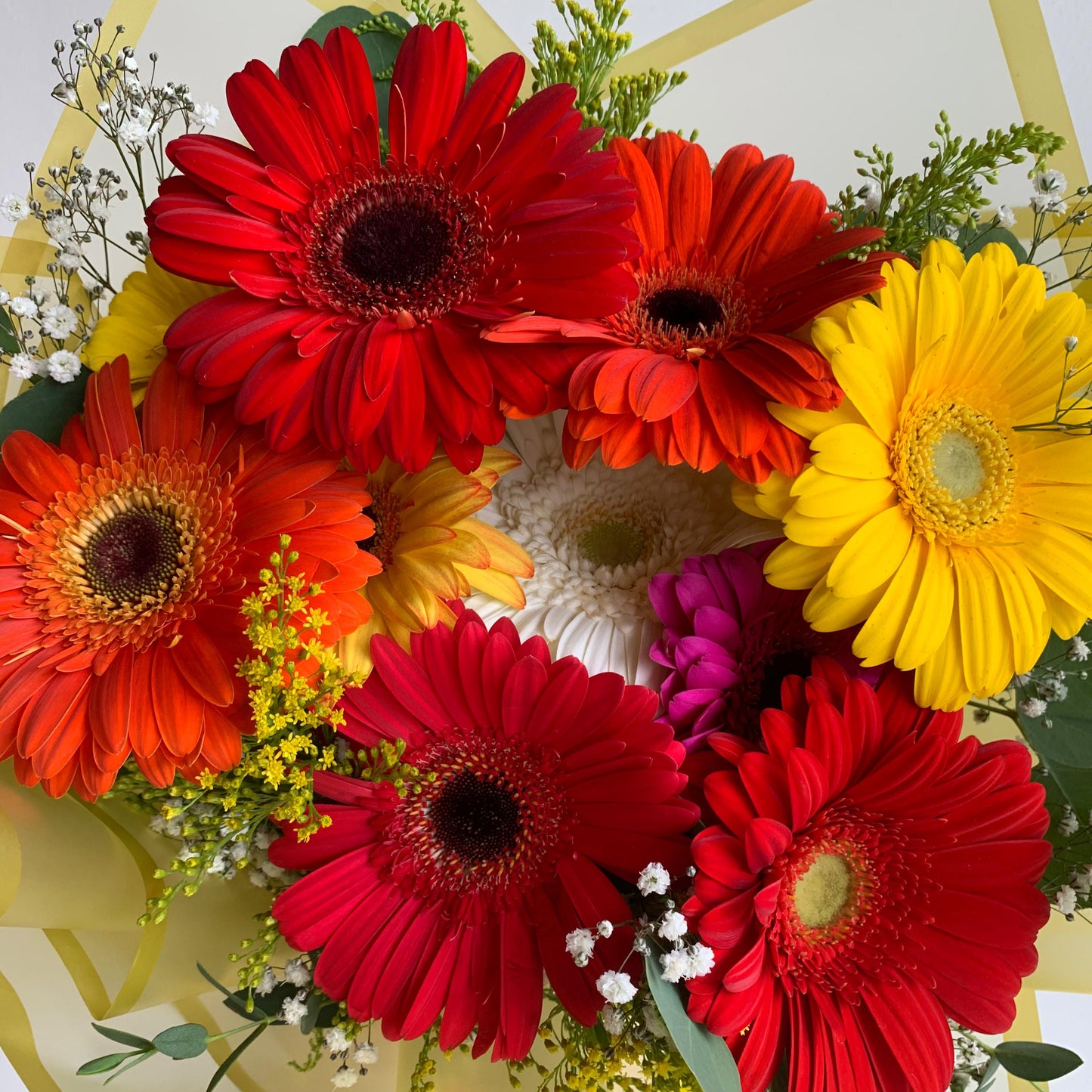 Ramo de Gerberas