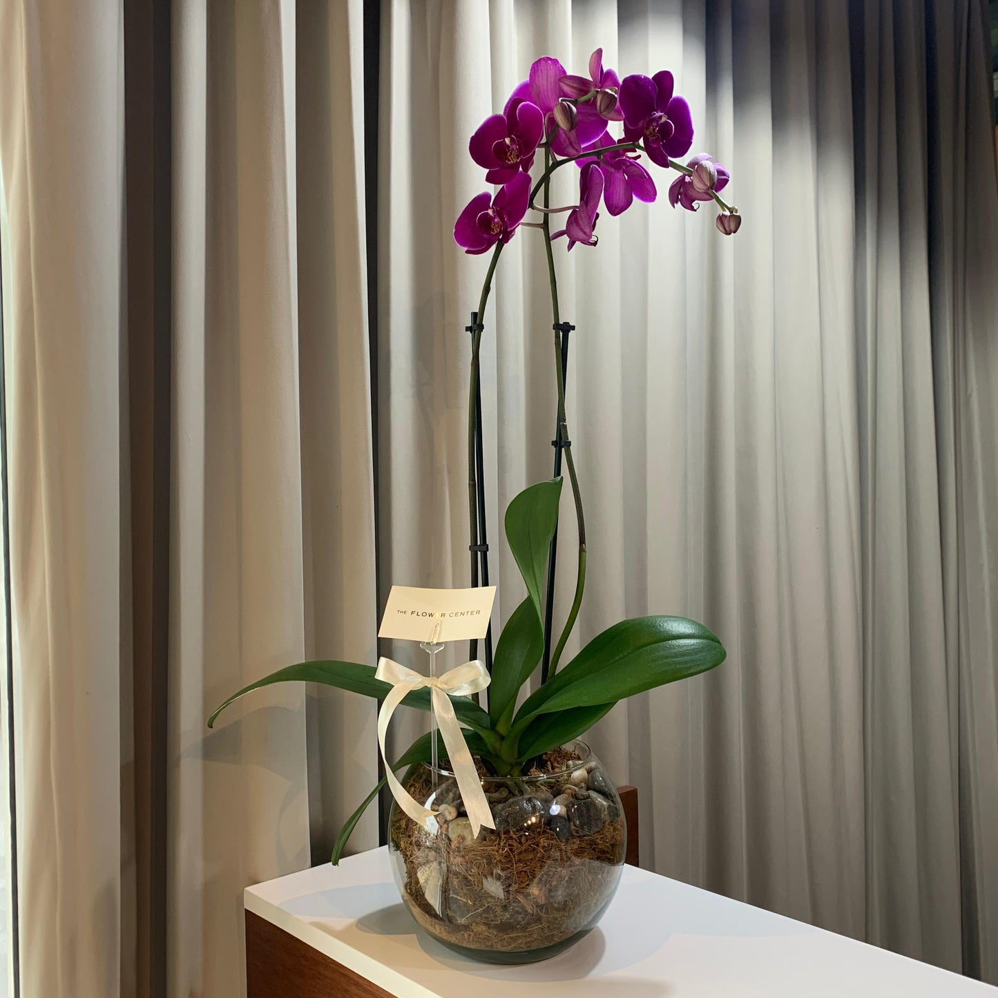 Orquídea en pecera