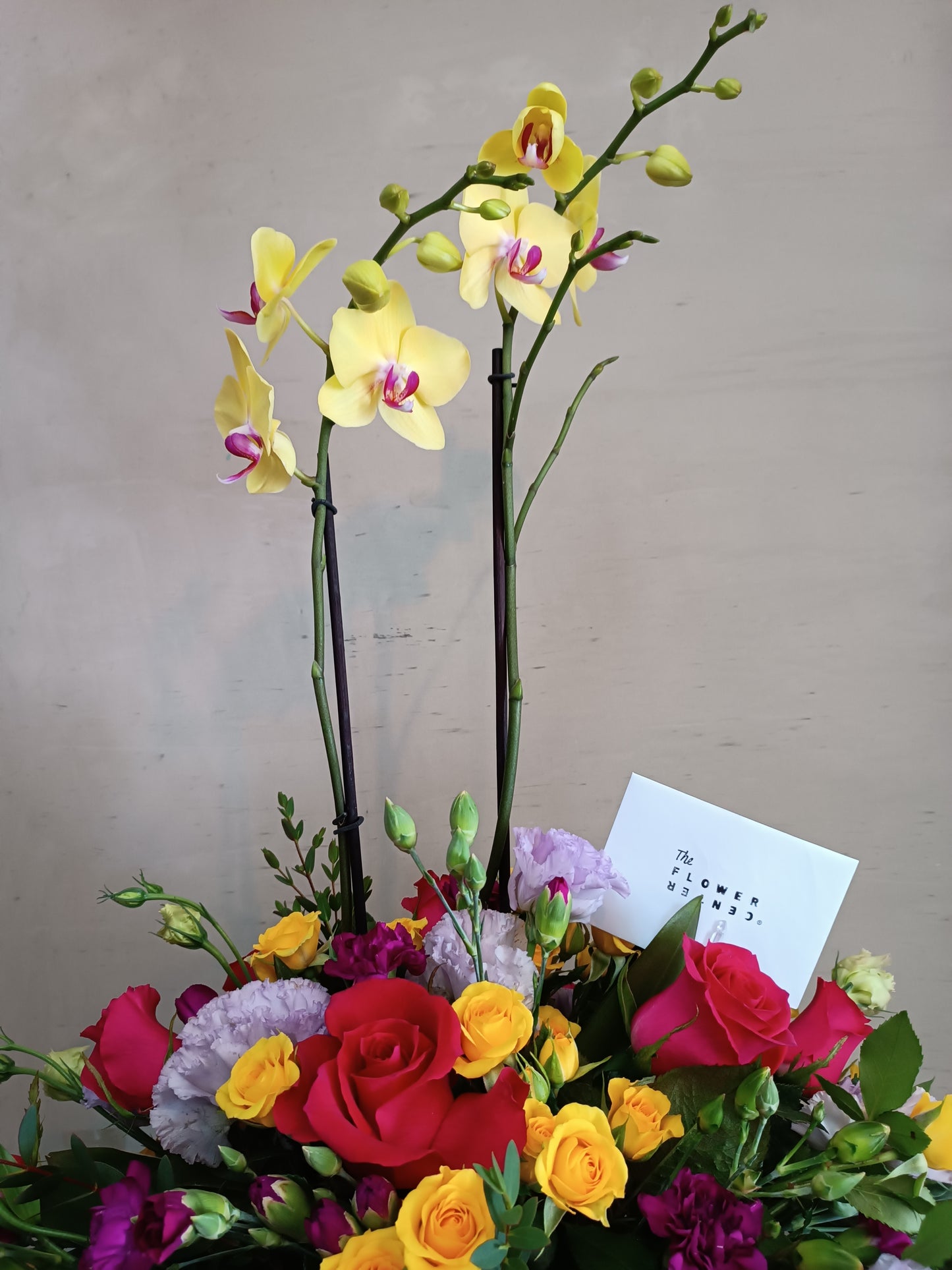 Orquideas & Rosas