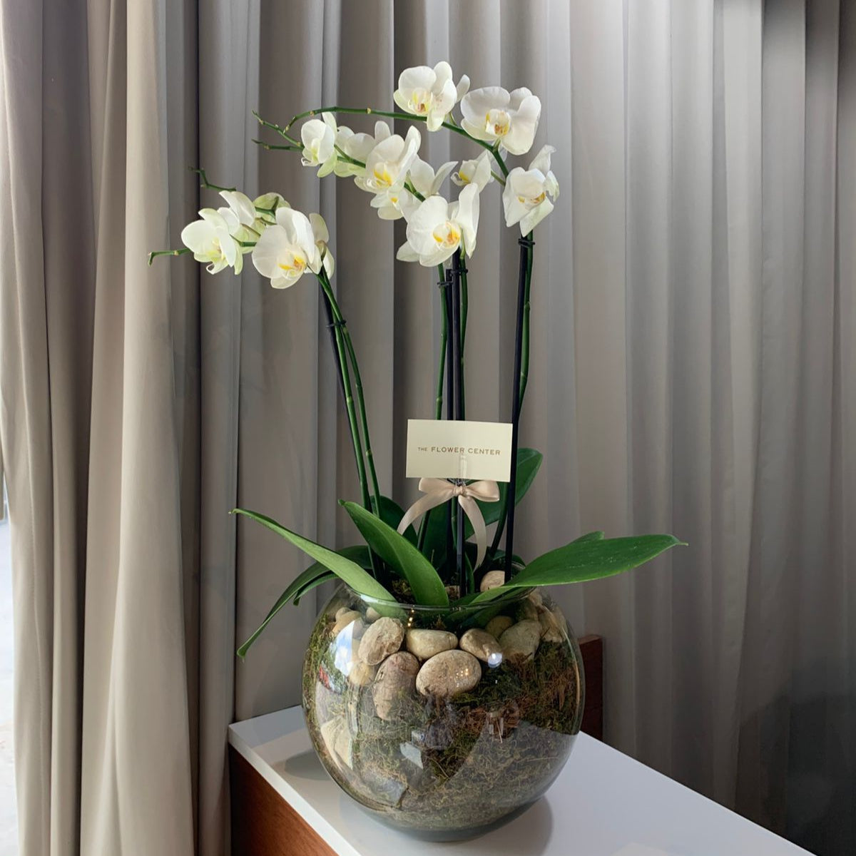 Orquídea en pecera