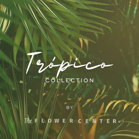 Trópico Collection