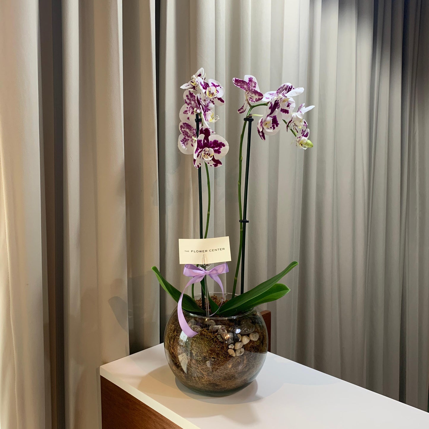 Orquídea en pecera
