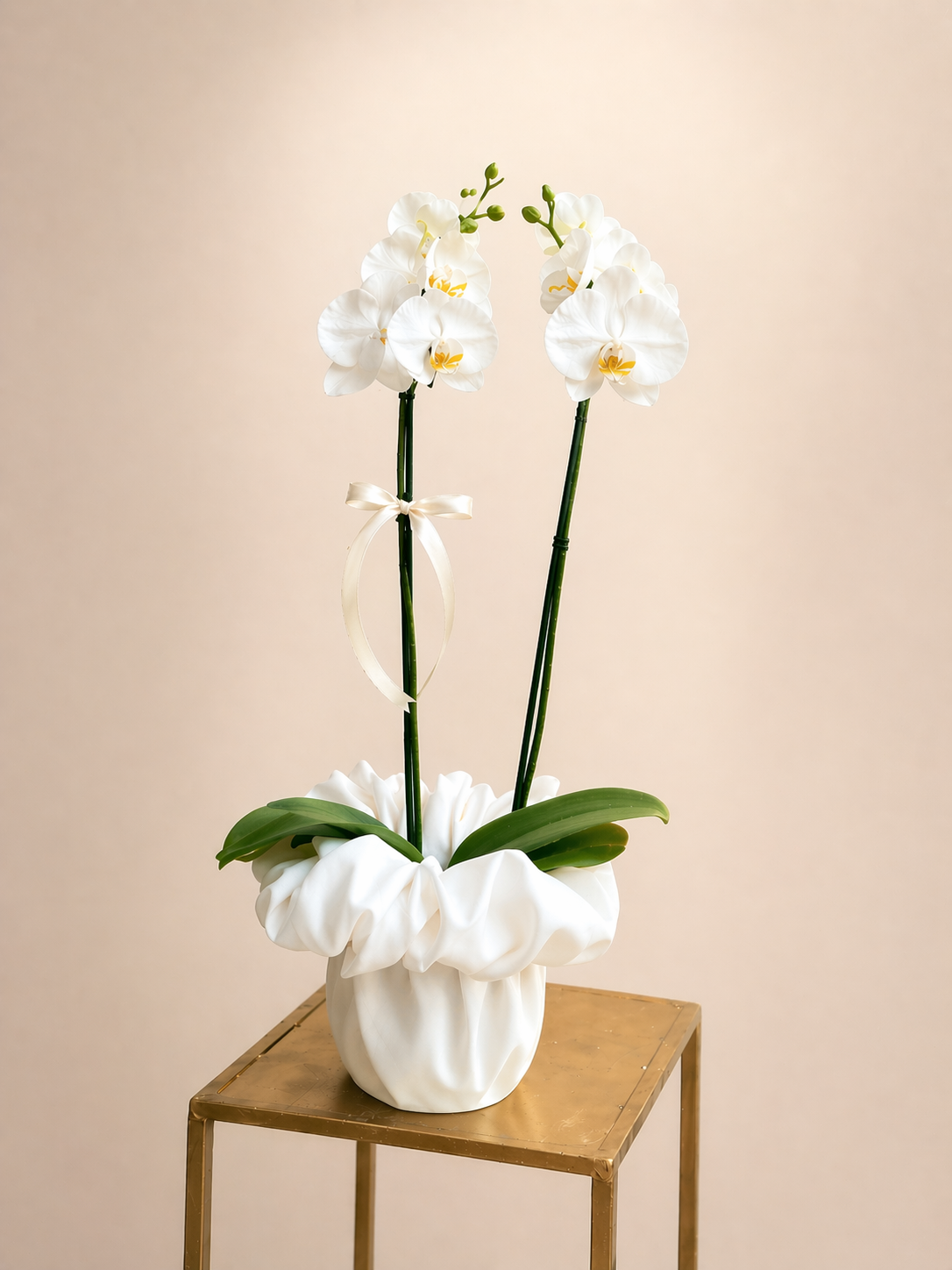 Orquídea en Velo
