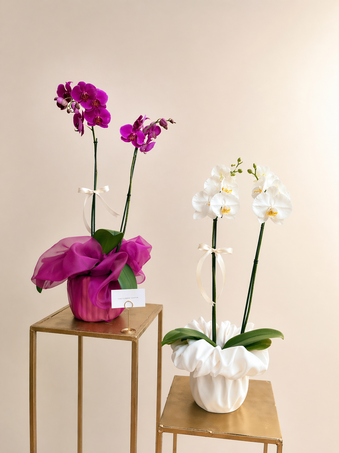Orquídea en Velo