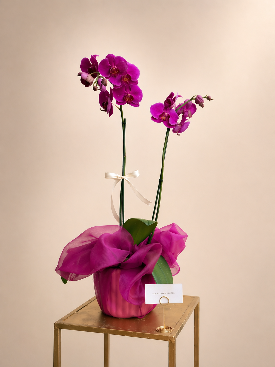 Orquídea en Velo