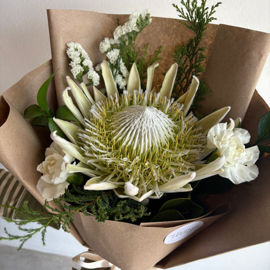 Ramo Protea