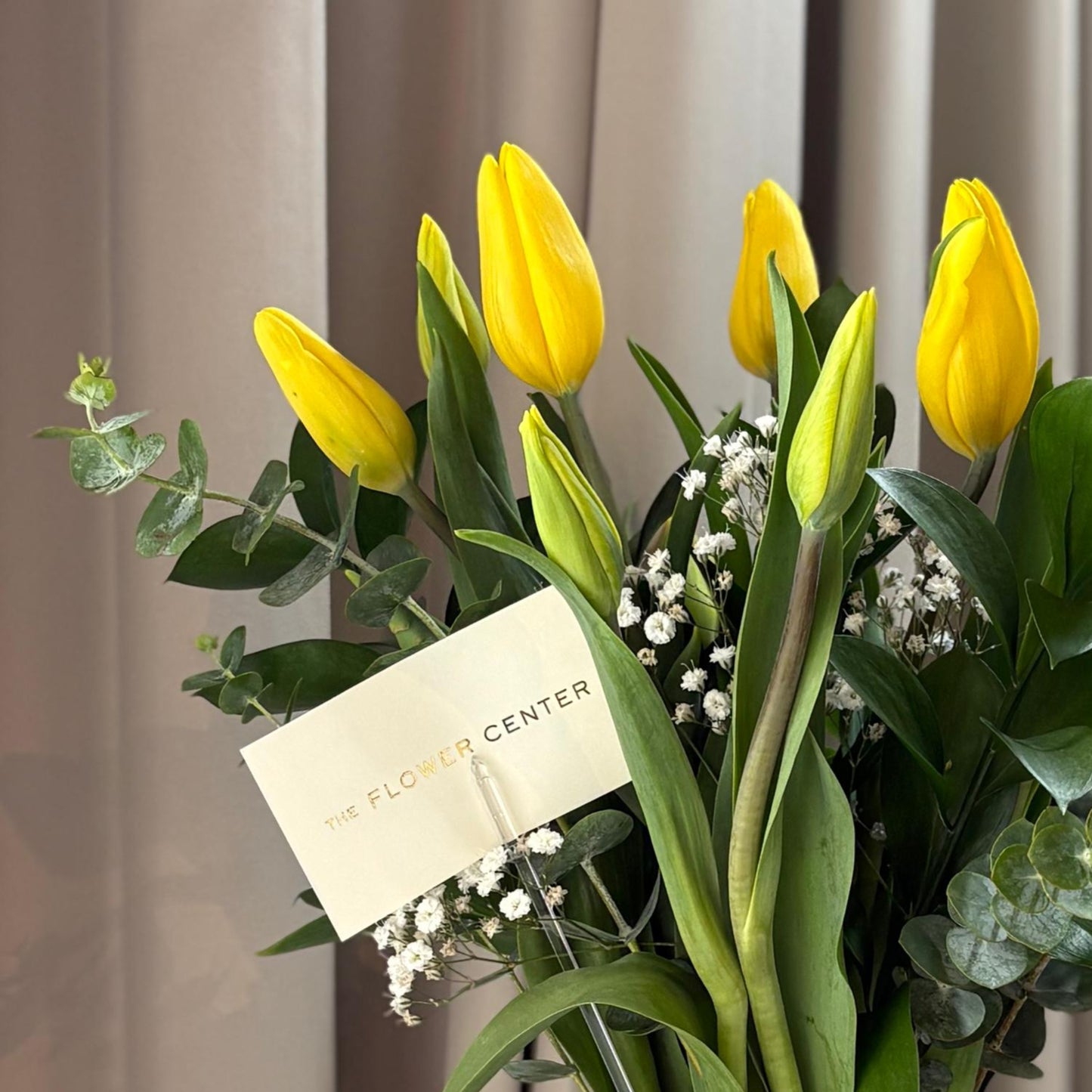 Tulipanes