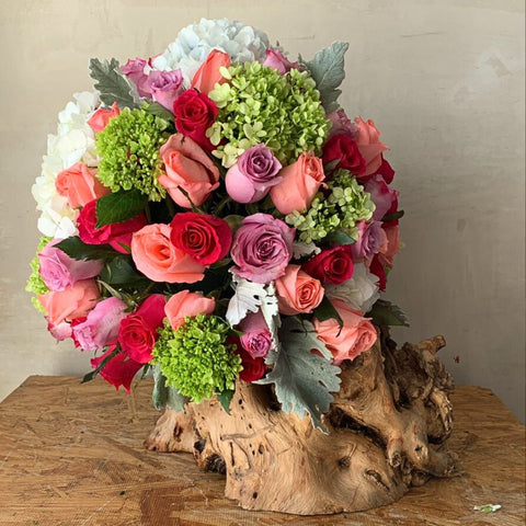 Root & Pink Roses