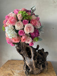 Root & Pink Roses